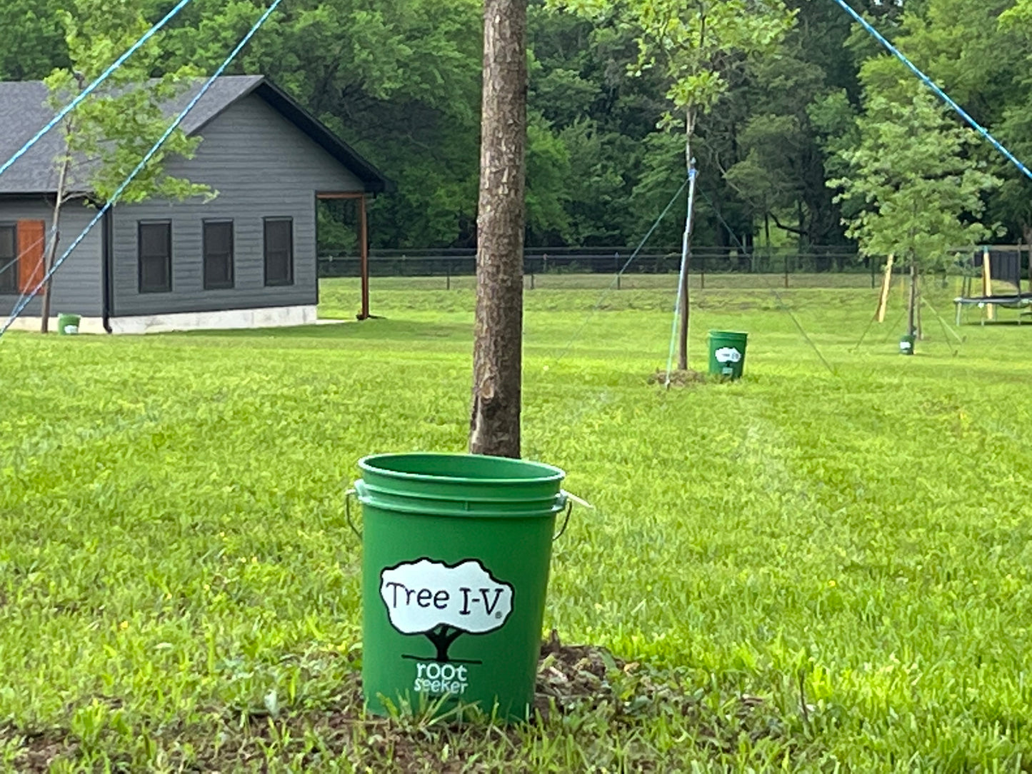 Tree I-V Root Feeder Base System