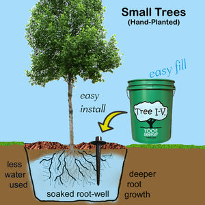 Tree I-V Root Feeder Base System