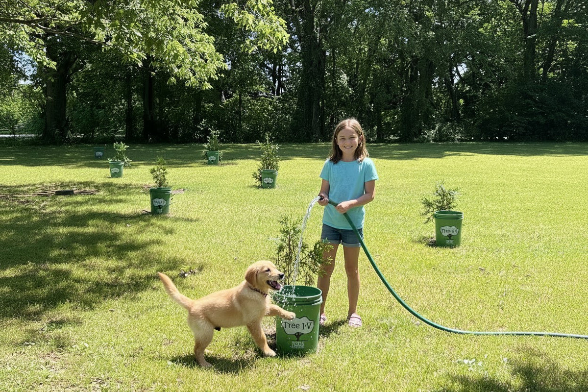 A young girl stands on a grassy lawn filling a Tree I-V Root Feeder with a garden hose, accompanied by a golden retriever puppy. Several other new trees with watering systems are lined up in the background under a canopy of green trees.