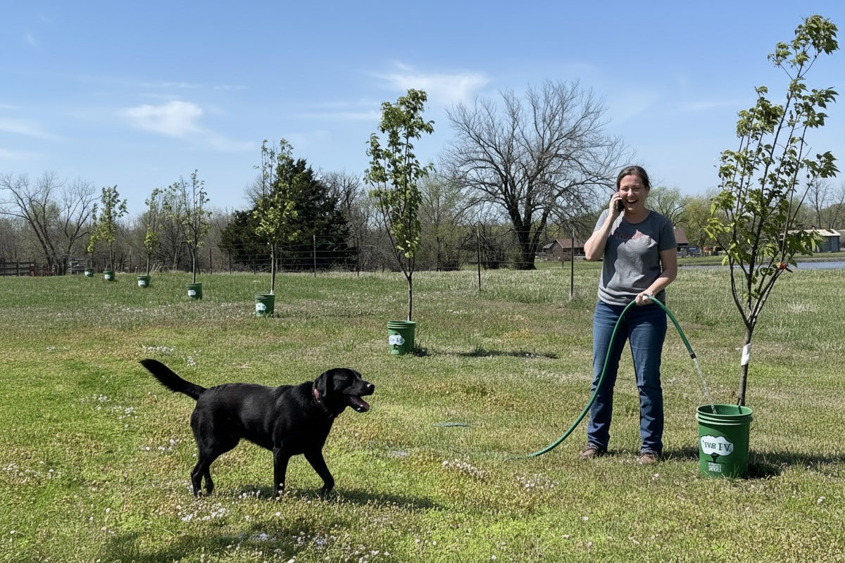 A woman stands in a grassy outdoor field filling a Tree I-V Root Feeder with a garden hose, while a black dog walks nearby. Several other young trees with watering systems installed are visible in the background under a blue sky.