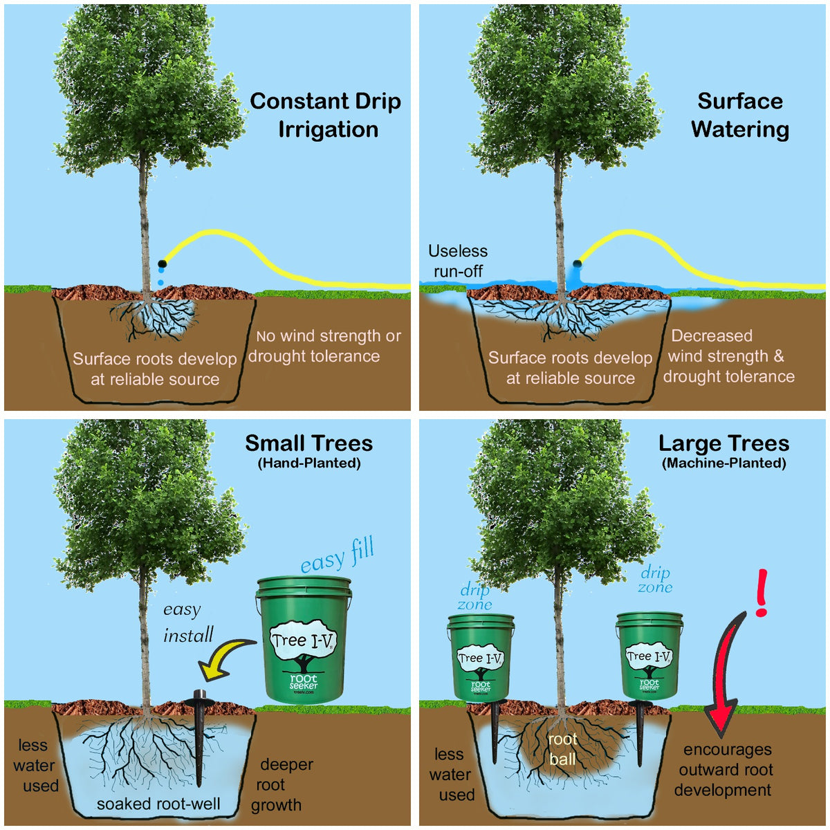 A four-panel comparison diagram showing tree watering methods: Constant Drip Irrigation, Surface Watering, and Tree I-V used on Small Trees (Hand-Planted), and Large Trees (Machine-Planted). Each panel includes a tree, soil cross-section, roots, a green bucket, and explanatory text comparing irrigation approaches and root development.