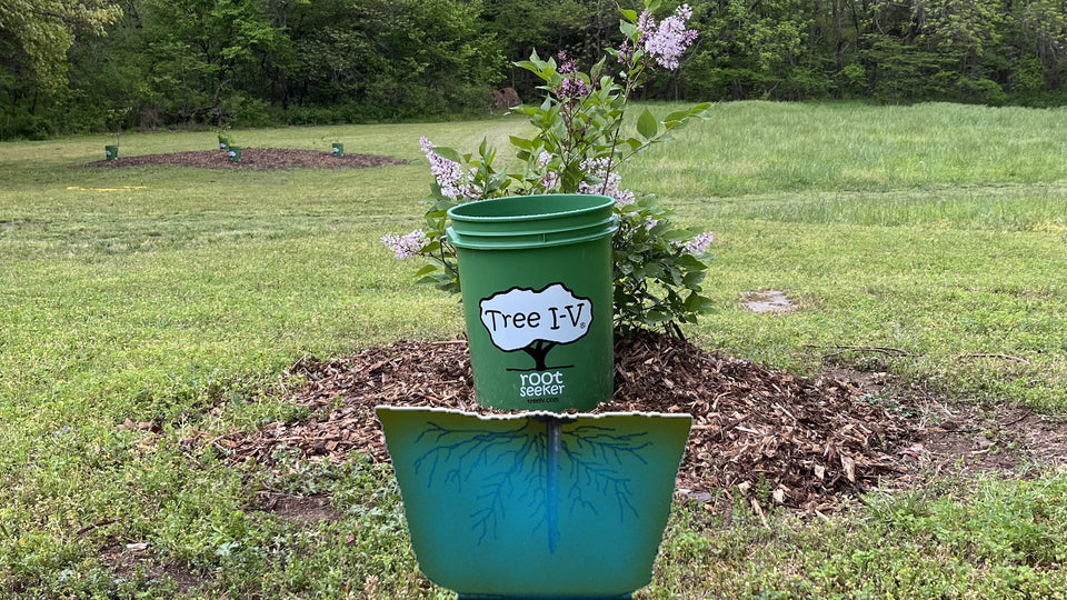 Tree I-V Deep Watering System for New Trees