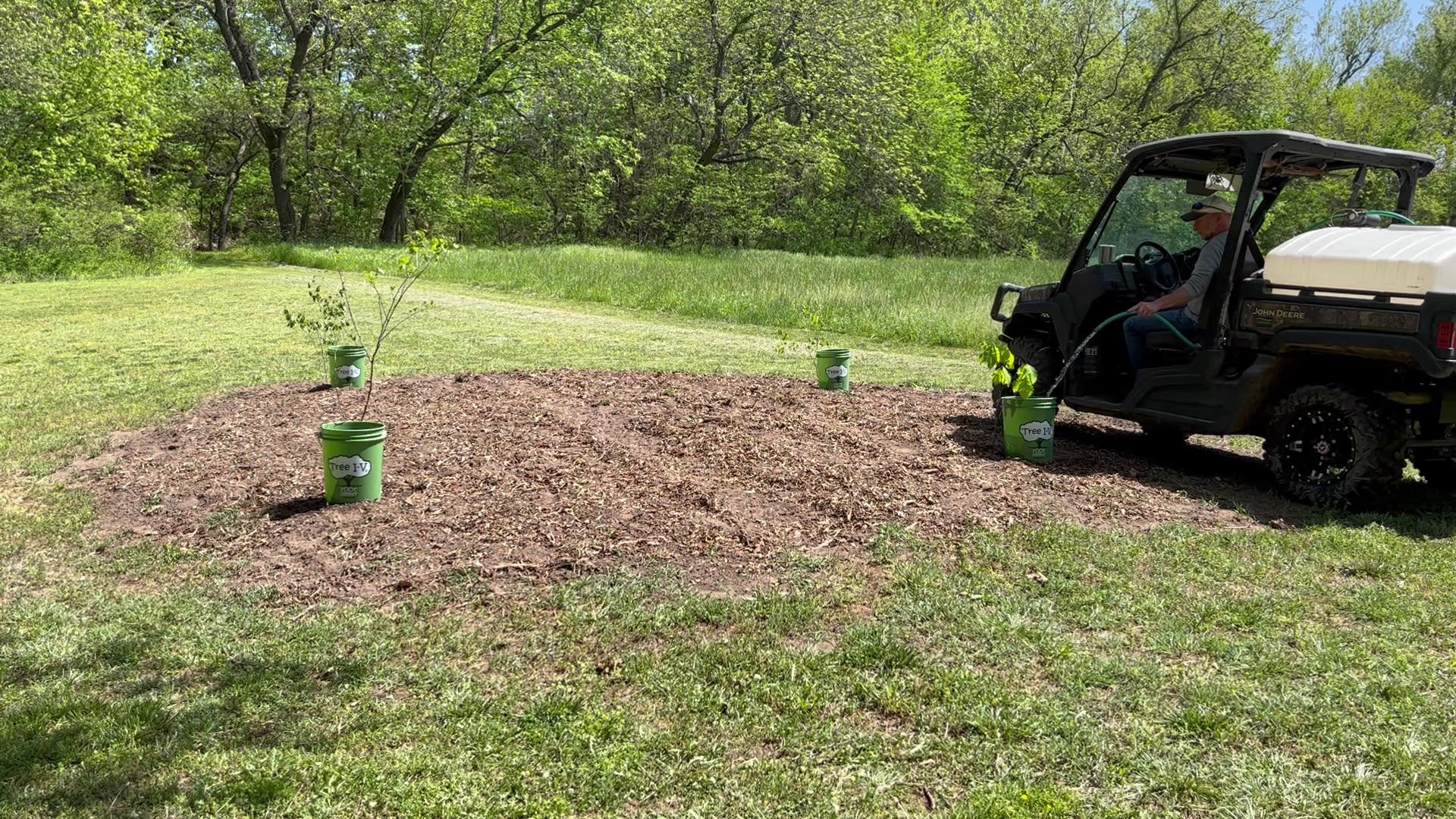 Load video: Tree I-V Features in 90 seconds