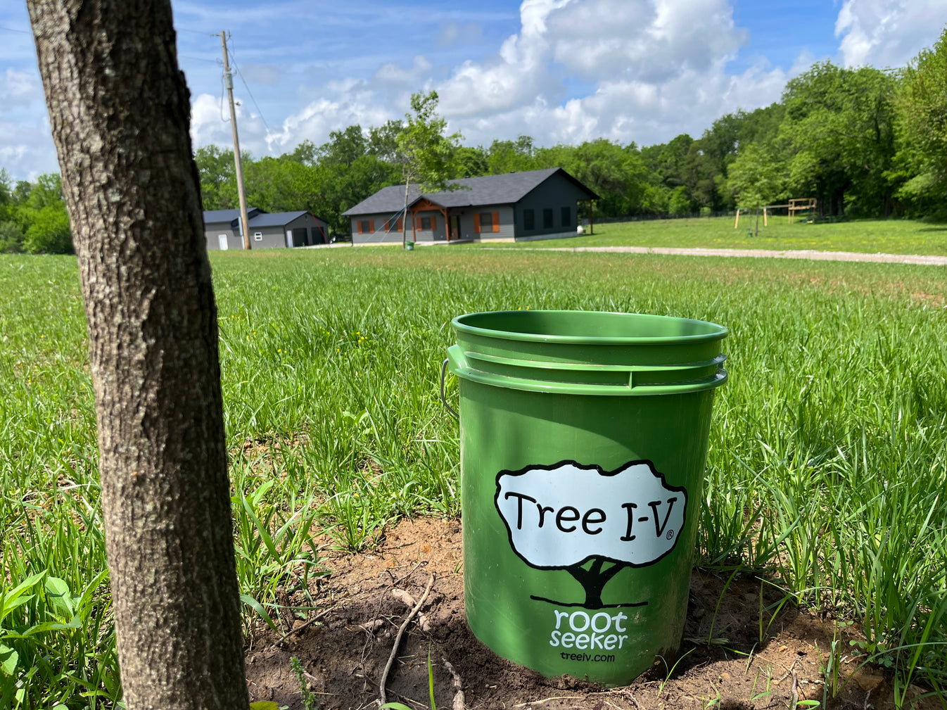 Tree I-V Root Feeder Base System