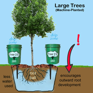 Tree I-V Deep Watering System for New Trees