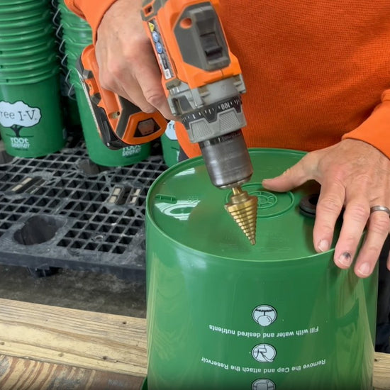 Man shows how to drill a hole in the bottom of a bucket and install the rubber grommet seal of a Tree I-V Root Feeder, then shows how to use it watering a flowering bush.
