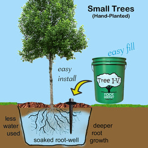 Tree I-V Root Feeder Base System 34-pk